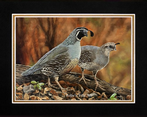 Matted cottage quail valley - matted,