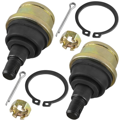 Front knuckle lower ball - knuckle,