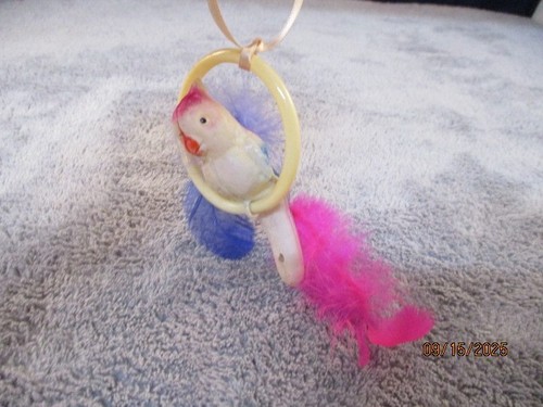 Vintage celluloid parrot - vintage,