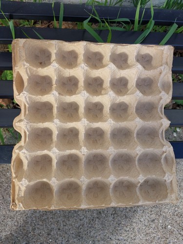 Cell egg crates recyclable - 30-cell,
