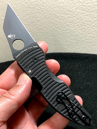 Spyderco microjimbo salt cpm - spyderco,
