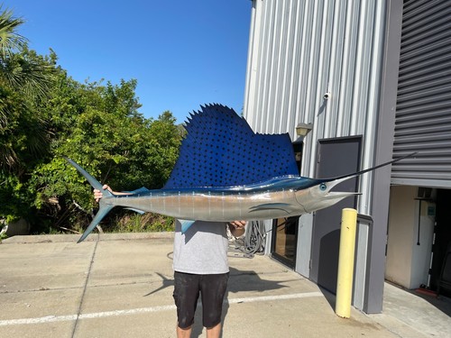 Sailfish right facing two - 95",