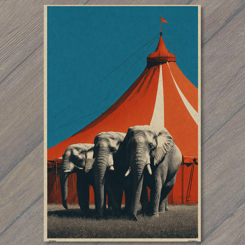 Art print circus elephants - print,