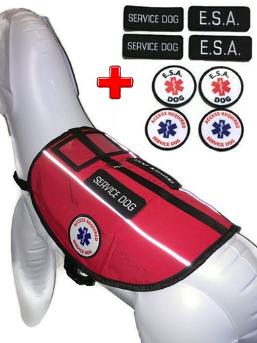 Service dog vest emotional - dog,