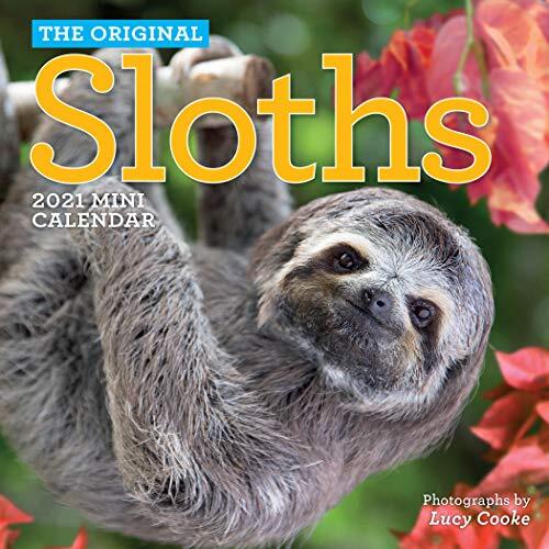 Original sloths mini wall - mini,