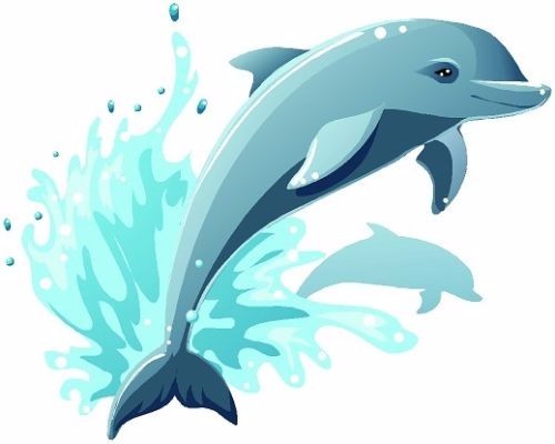 Dolphins decal camper - camper, motor