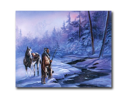 Native american indian horse - american,