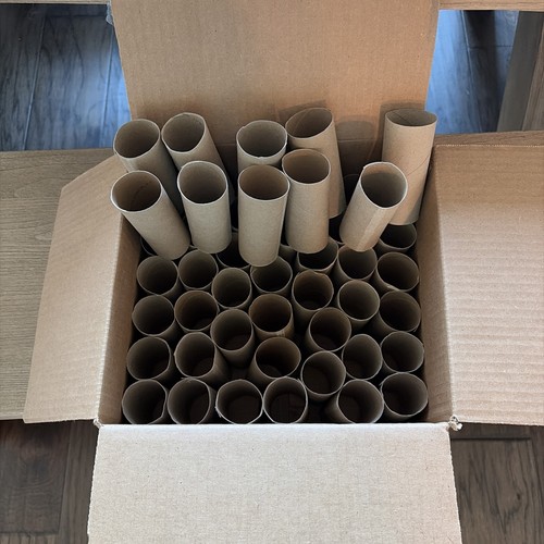 Empty toilet paper - empty, rolls