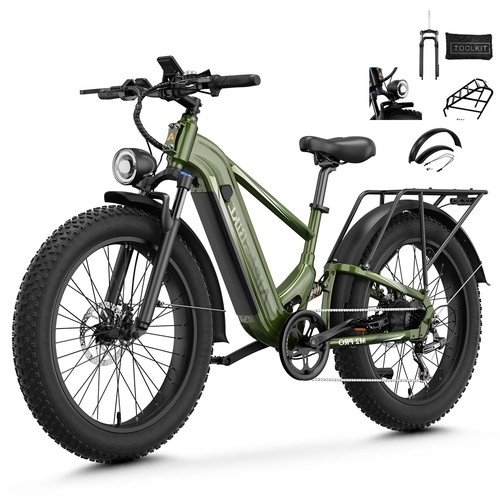 1800w peak electric bike - 1800w,