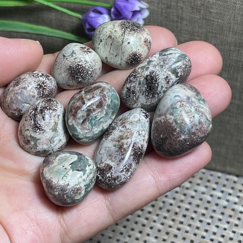 8pcs beautiful fireworks - beautiful, stone