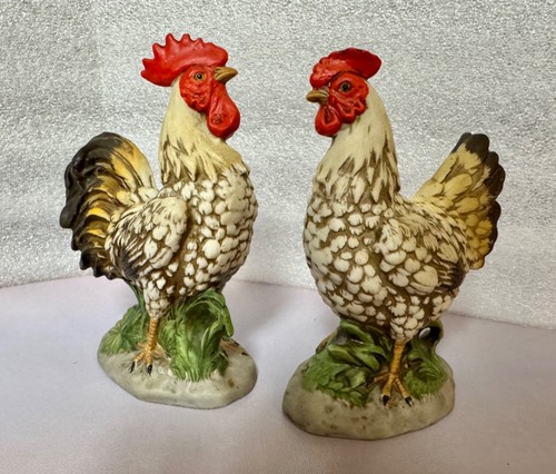 Homco rooster hen chickens - homco,