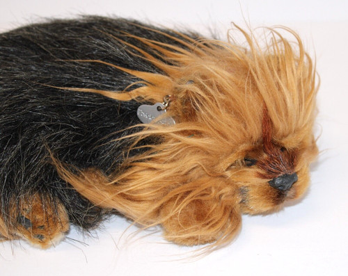 Precious pets breathing - precious,