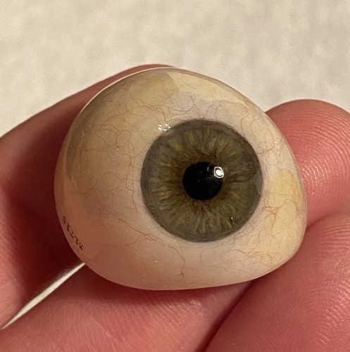 Vintage prosthetic eye - prosthetic,