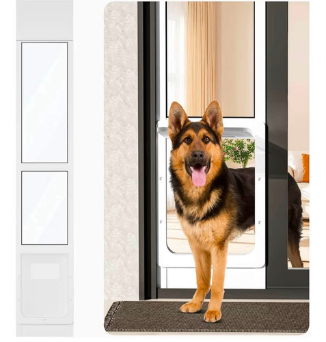 Large dog sliding - large,