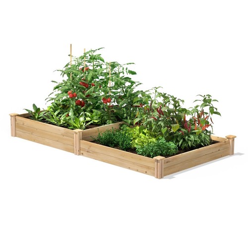 Cedar wood 2 tier - 4, x