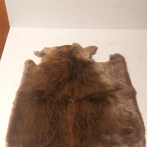 Beaver fur pelt - pelt, soft