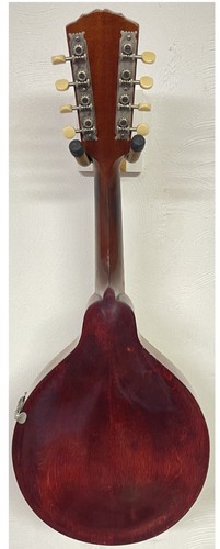 Gibson mandolin the - ,