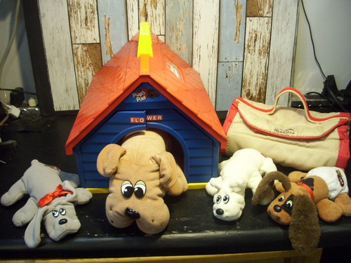 Vintage tonka pound - pound, puppies