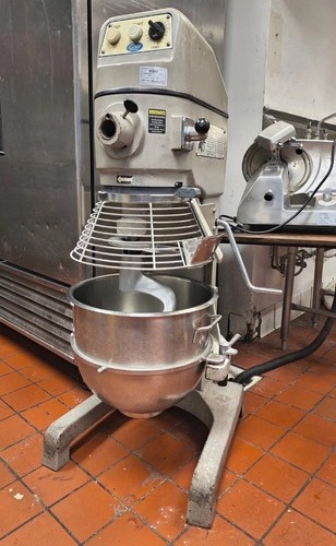 Globe commercial food - 30,