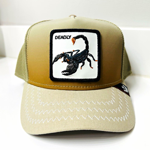 Goorin bros deadly scorpion - goorin,