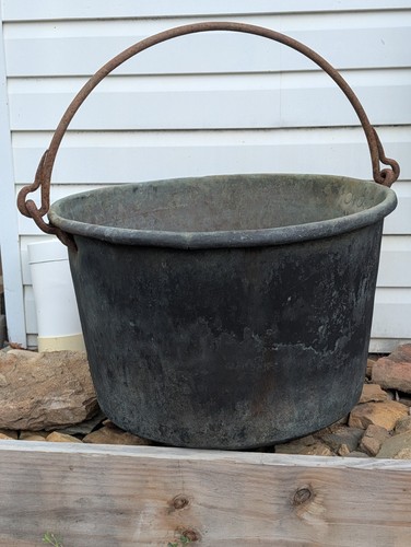 Antique extra large apple - antique,