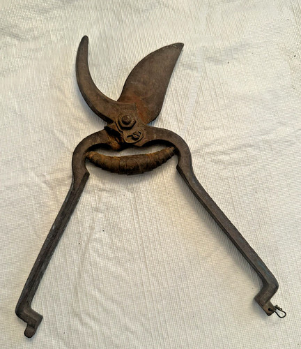 Vintage hand pruner - hand,