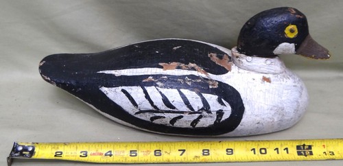 Old working goldeneye drake - old,