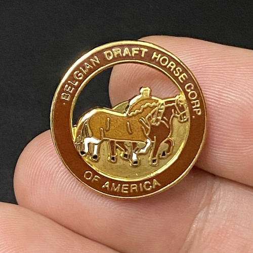 Vtg belgian draft horse - vtg,