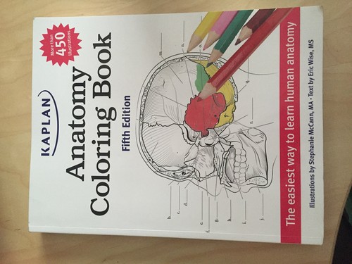 Anatomy coloring book - coloring,