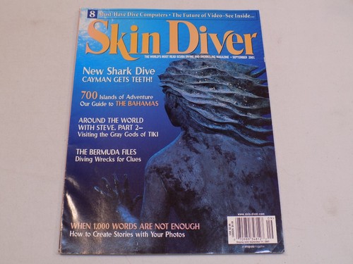 Skin diver scuba snorkeling - diver,