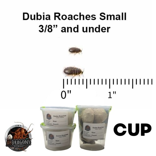 Live dubia roaches - small, 3/8"