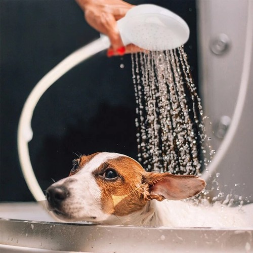 Portable sink spray hose - sink,