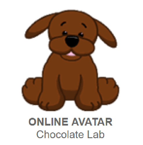 Webkinz classic chocolate - webkinz,