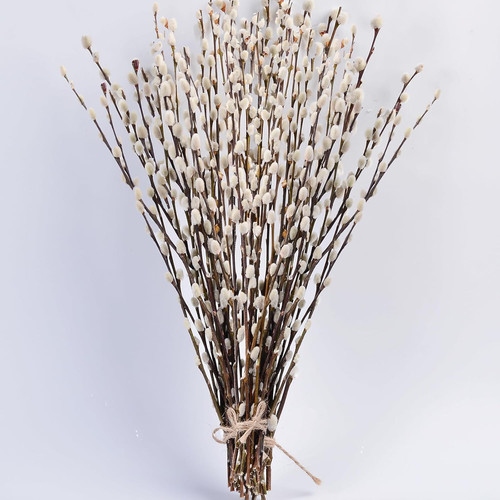 Stems real dried pussy - stems,