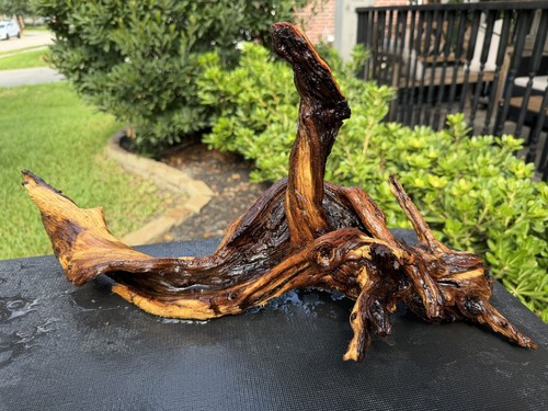 Driftwood mopani aquariums - mopani,