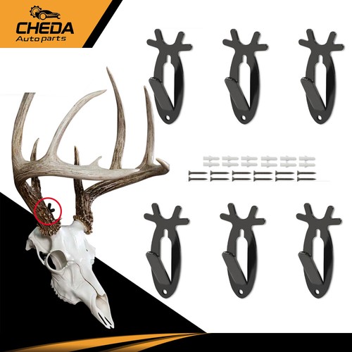 European mount wall hanger - 6x,