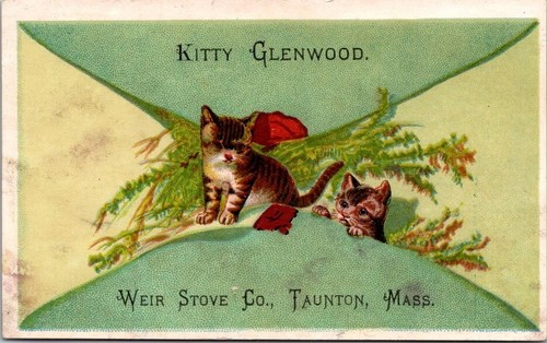 Taunton kitty glenwood - ma, weir