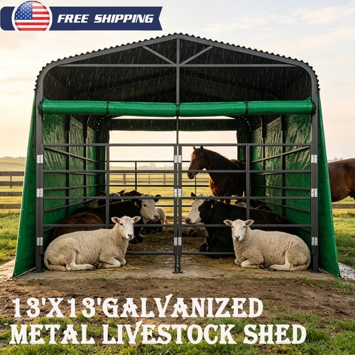 X13 galvanized metal - 13'x13',