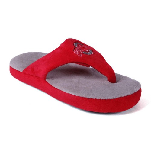Ohio state buckeyes - state,