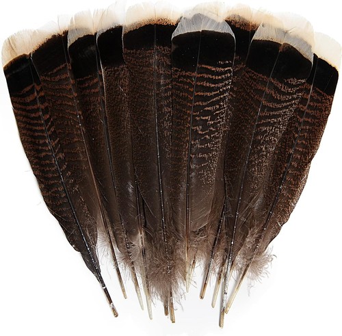 24pcs natural wild turkey - natural,