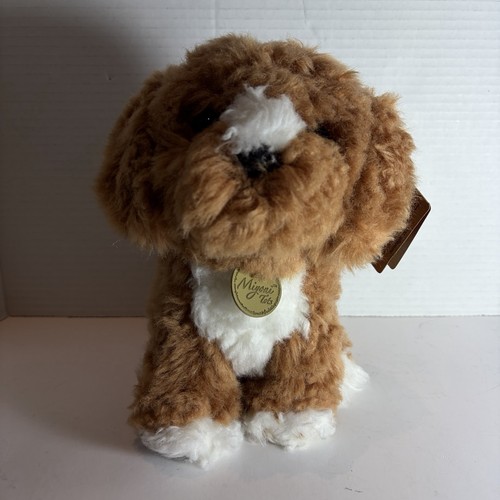 Aurora miyoni tots cockapoo - aurora,