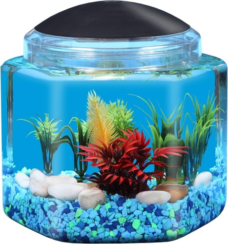 Gallon hex bettatank - 1,