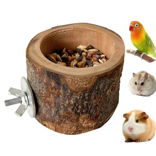 Small bird feeding - small,