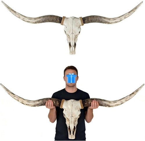 Longhorn skull inches - skull,71.8,