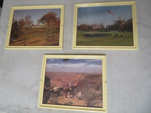 Vintage prints framed - vintage,