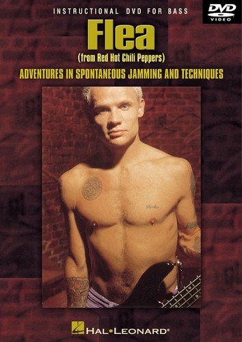 Flea bass guitar lessons - flea,