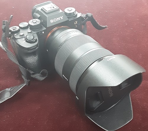Sony mirorless digital camera - mirorless,