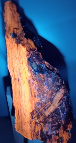 Reactive opalized petrified - uv,