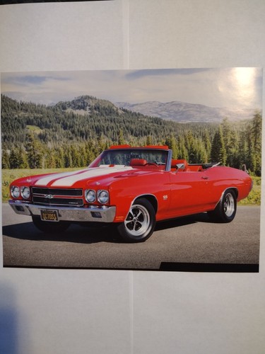 1970 chevrolet chevelle - chevelle, 396