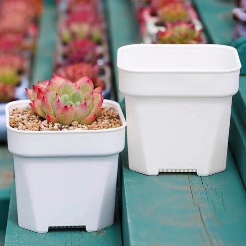 White square plastic - 3", 4"